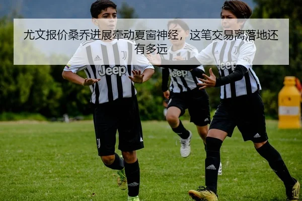 尤文报价桑乔进展牵动夏窗神经，这笔交易离落地还有多远 | FIFA Worldcup